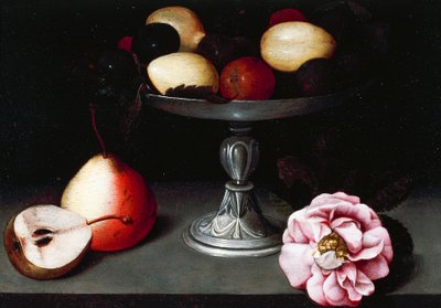 Standaard met pruimen, peren en een roos, ca. 1602, door Fede Galizia door Fede Galizia