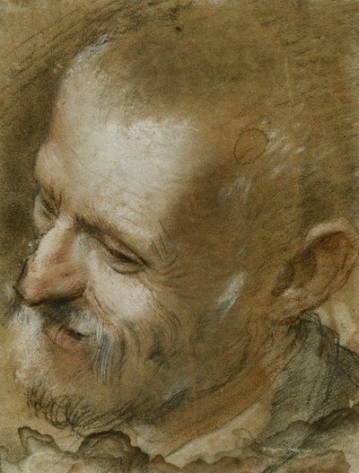 Studie van het hoofd van een bebaarde man naar links gedraaid, 1590 door Federico Fiori Barocci or Baroccio
