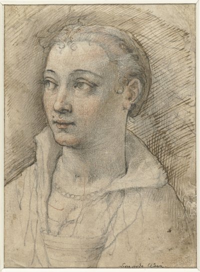 Portret van onbekende vrouw door Federico Zuccaro