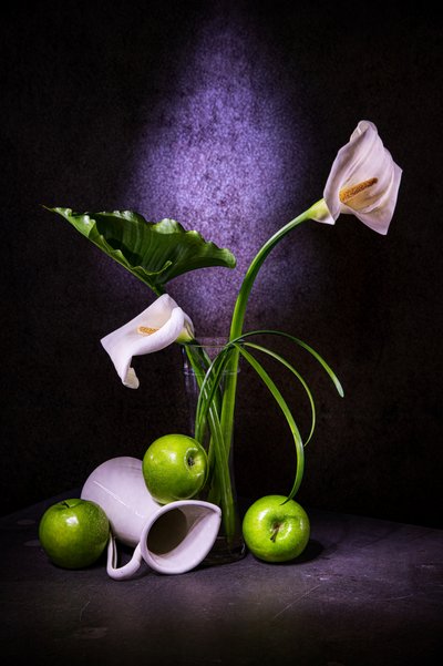 Elegante calla