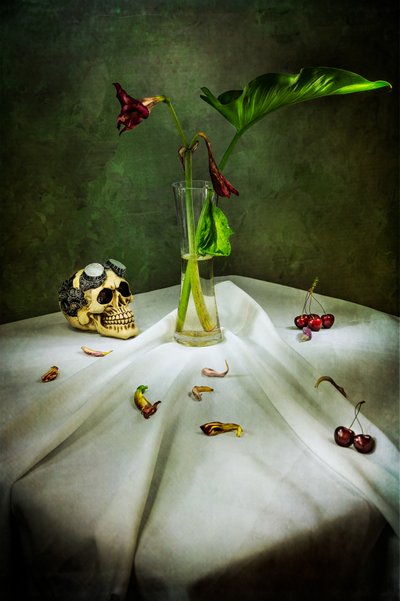 Gothic Skull Vanitas door Felice Angelino
