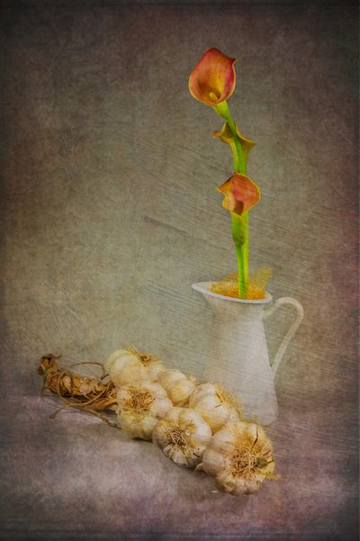 Rustieke knoflookcalla’s door Felice Angelino