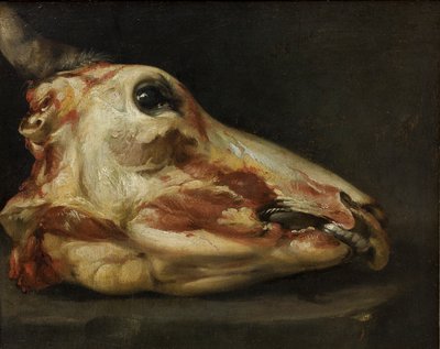 Gevilde kop van een jonge stier door Felice Boselli