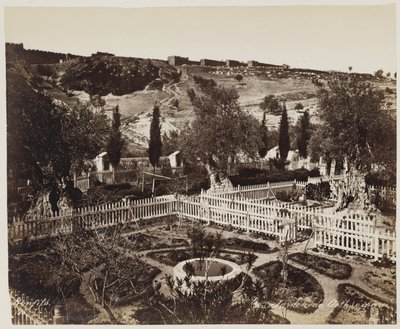 Jardin De Gethseman #303 door Félix Bonfils