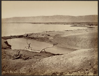 De Dode Zee, Palestina door Félix Bonfils