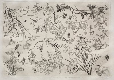 Dinerservies (Rousseau servies): Bloemen (nr. 22) door Felix Bracquemond