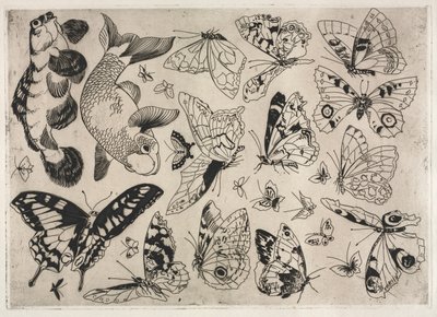 Dinerservies Rousseau servies: Vlinders en Vissen nr. 16, 1866 door Felix Bracquemond