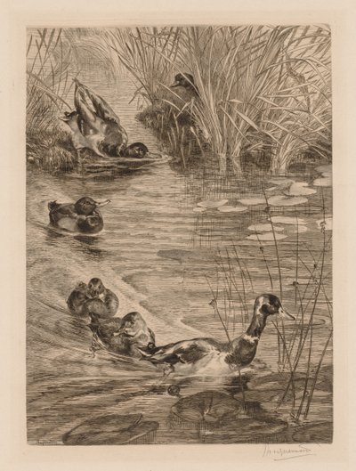 Eenden aan het spelen, ca. 1870 door Felix Bracquemond