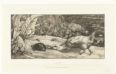 Eend en schildpad op oever van sloot door Felix Bracquemond