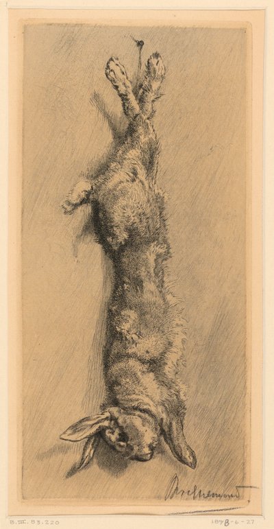 Het konijn van Garenne door Felix Bracquemond
