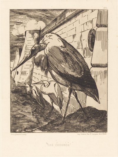 De Ooievaars door Felix Bracquemond