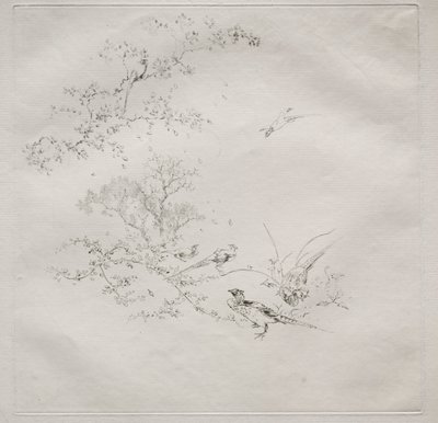 Parijse dienst (Haviland dienst): Mist (nr. 1) door Felix Bracquemond