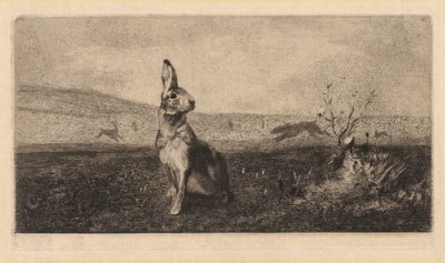De Haas, 1865 door Felix Bracquemond
