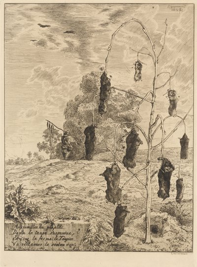 De mollen door Felix Bracquemond