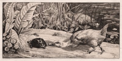 Het Onbekende door Felix Bracquemond