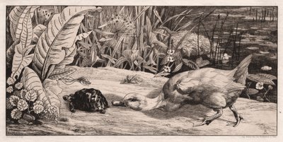 De Onbekende, 1862 door Felix Bracquemond