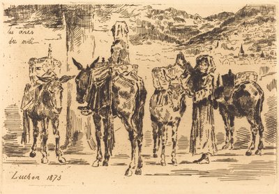 Bladeren van Ezel van het Zuiden door Felix Hilaire Buhot