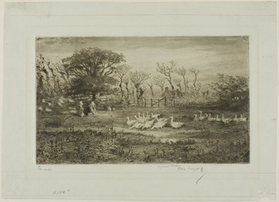 Ganzen door Felix Hilaire Buhot