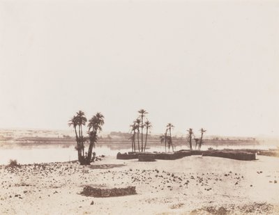 Dakkeh, Village et Rives du Nil (Dorp en oevers van de Nijl, Dakkeh),1851-1852 (foto) door Félix Teynard