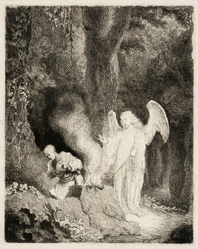  door Ferdinand Bol