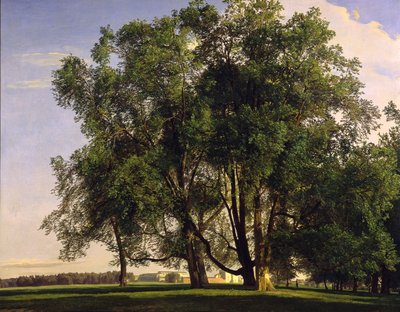 Prater-landschap door Ferdinand Georg Waldmüller