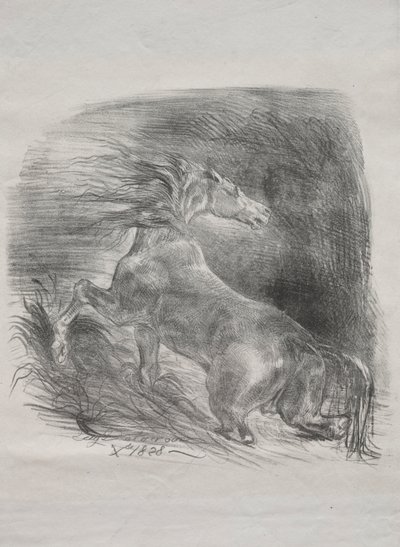 Het wilde paard, of geschrokken paard dat het water verlaat, 1828 door Ferdinand Victor Eugene Delacroix