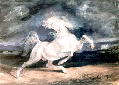 Wit paard, 19e eeuw door Ferdinand Victor Eugene Delacroix