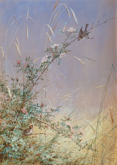 Wilde Rozen Tussen Rogge, 1874 door Fidelia Bridges