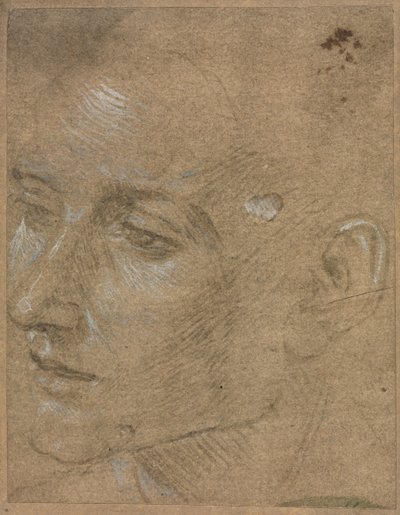 Hoofd van een jonge man, tweede helft 1400s door Filippino Lippi