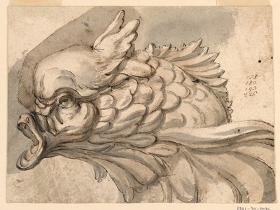 Tekening, Kop van een dolfijn, ca. 1775 door Filippo Marchionni