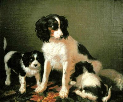 Een spaniël met twee puppy