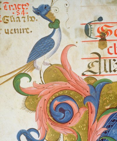 Missaal 515 f.28v Fantastische vogel met menselijk hoofd staand op de hoek van een versierde initiaal, detail uit een Koorboek uitgevoerd voor 1449 door Filippo di Matteo Torelli
