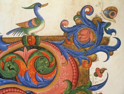 Missaal 515 f.92v Zoomorfische bladeren met eendachtige vogel en vlinder, detail van decoratie rondom een versierde initiaal uit een Koorboek uitgevoerd voor 1449 door Filippo di Matteo Torelli