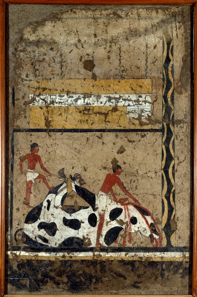Egyptische antiquiteiten: een stier wordt geofferd voor een sarcofaag. Detrempe op klei en stro uit het graf van de generaal en kanselier van koning Iti in El Ghebelen bij Luxor. 2200-2000 v.Chr. Turijn, Egyptisch museum door First Intermediate Period Egyptian