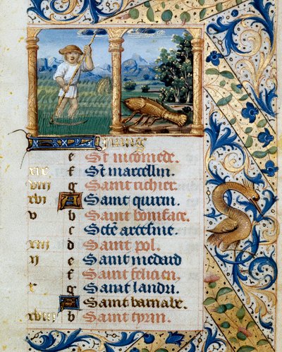 Kalender, juni, een boer die maait en het teken van kanker. Pagina uit een getijdenboek ms. 47, verlucht door de Vlaamse school. 16e eeuw Badia de 