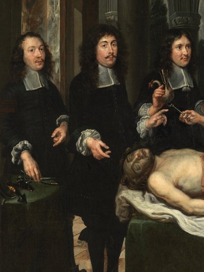 (detail) van Anatomieles door Flemish School