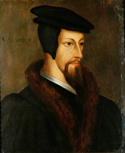 Jean Calvin als jongeman ... (olieverf op hout) door Flemish School
