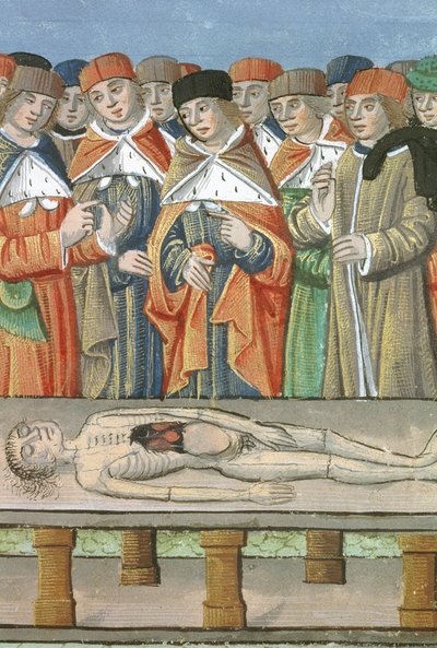 Dissectie, uit De Medina Fen I. II, door Avicenna (980-1037) door Flemish School