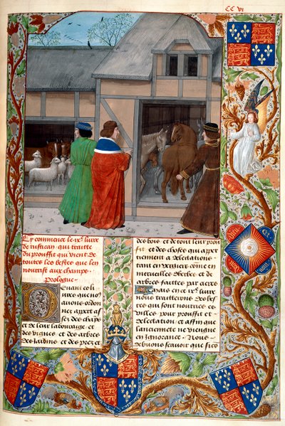 Royal 14 E. VI, f.215, Auteur met paarden en schapen, uit 