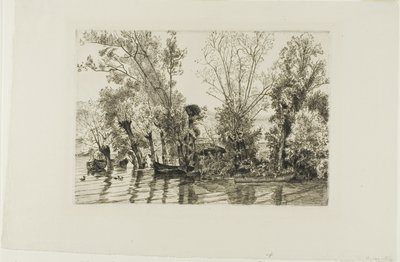 De wilgen van Mottiaux door Félix Henri Bracquemond