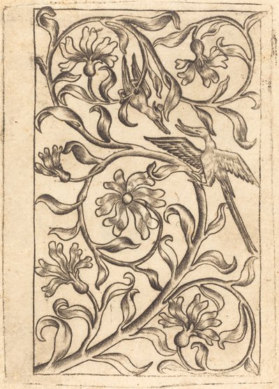 Wijnrank Ornament met Twee Vogels door Follower of Master of the Playing Cards