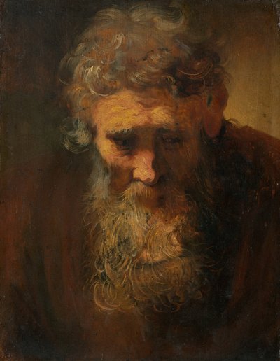 Studie van een Oude Man door Follower of Rembrandt van Rijn