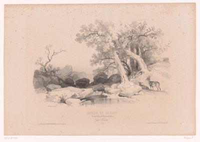 Rotslandschap met water en twee herten door Fortuné Ferogio