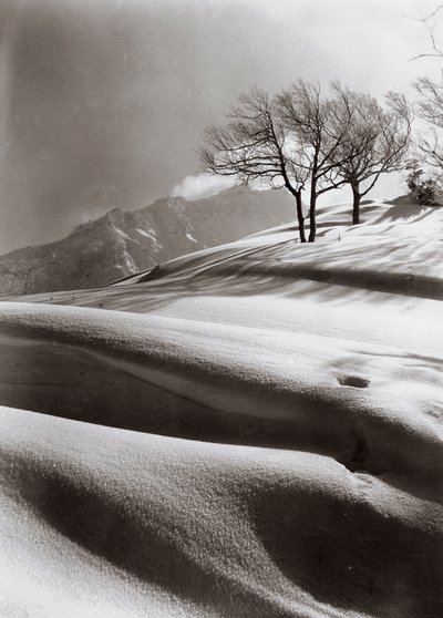 Sensuele sneeuw (op de achtergrond de berg Ashibetsu, 2100 m) door Fosco Maraini