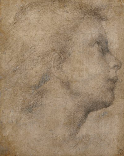 Hoofd van een engel in profiel kijkend naar rechts door Fra Bartolomeo