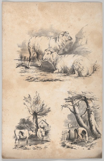 Vignet met twee schapen, vignet met twee koeien in een poel, en vignet van een houtverzamelaar..., 1847 door Frances Flora Bond Palmer
