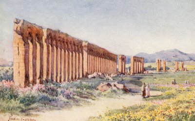 Het Aquaduct van Carthago door Frances Nesbitt