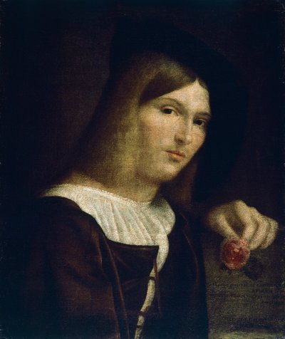 Portret van een jonge man met een roos door Francesco Torbido