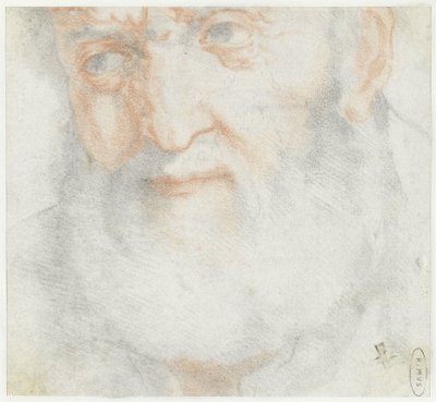 Kop van een oude man met baard door Francesco Furini (attributed to)