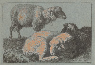 Twee liggende schapen en één staand schaap door Francesco Londonio